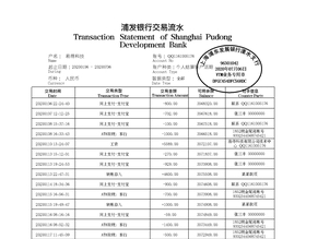 福建个人薪资流水制作